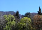 promenade  (15)